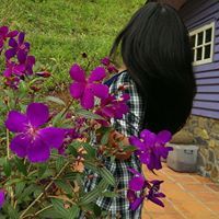 Loan Phuong