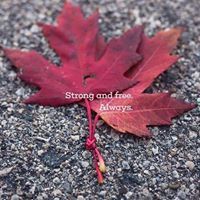 Dawn Bilodeau