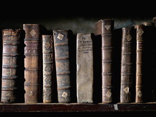 Алекса Брадић