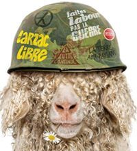 Barış Kalaycıoğlu