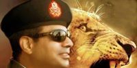 Ahmed Sayed