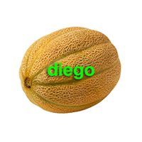 Diego
