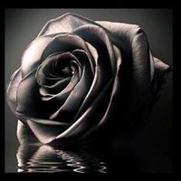 Deepshikha Chakraverty