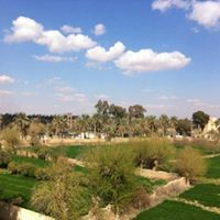 عمار الديري
