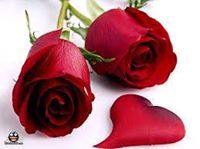 صبرى صدقى ابراهيم شقوير