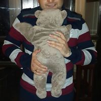 Mian Tahir