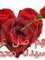 Omnia M...
