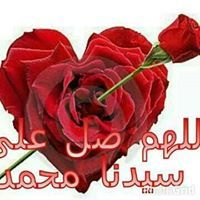 Omnia Magdi Sharef