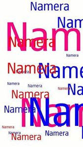 Chandresh Namera