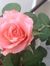 Latha T...