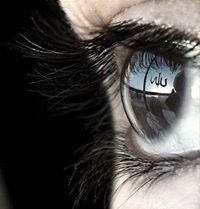 Hagir Mohmed