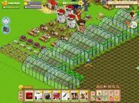 شريف الصالح