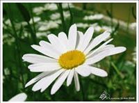 اللهم ثبتني