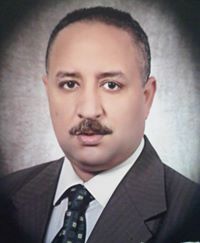 Mostafa Abdelhameed
