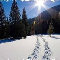 Tracy Dereszynski-Dow