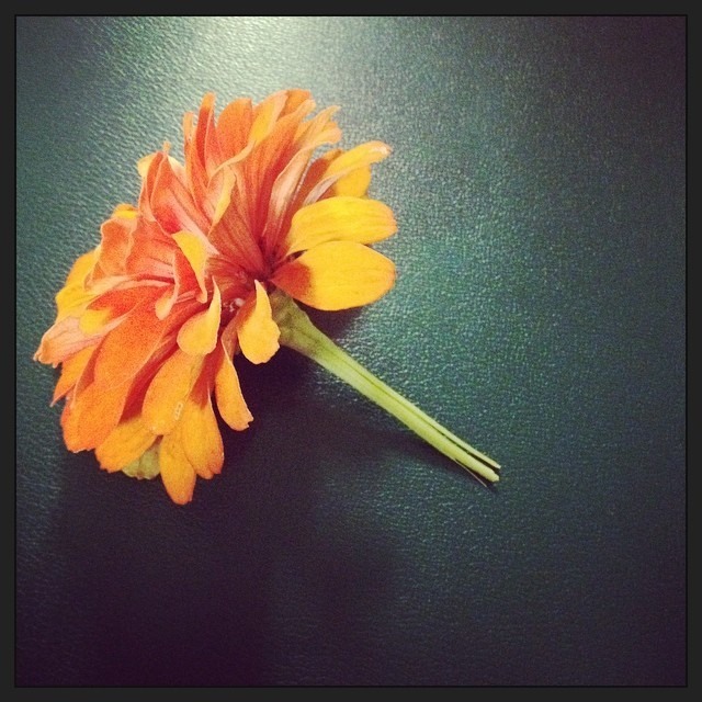 Goodreads profile picture for @concur