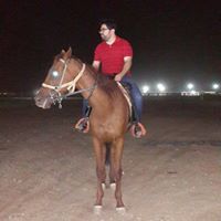 Ahmed Elgammal