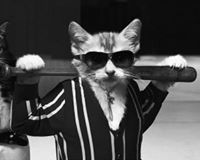 Дмитрий Парасочка