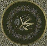 Mohamed Elgamal