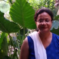 Shilpi Agarwal