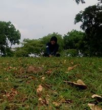 Rindiana Devita