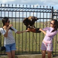 Энхжин Цолмон