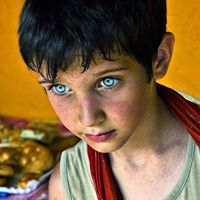 ابوالامير شراب