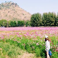 Ahnanchana Srichamara