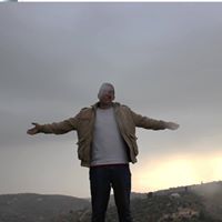 محمود اللوزي