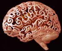 Neuro Mcq