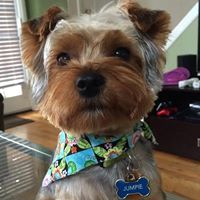 Elizabeth Cordon Sabillon