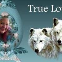 Nightgoddess White Wolf