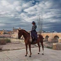 Maryam Alidrisi