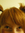 Novinous | 4 comments