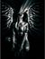 Gabor D...