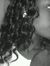 Yandi W...