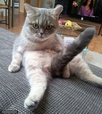 Андрей Прокудин