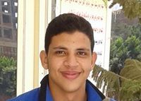 محمد الخولى