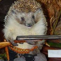 Dede Giedrius