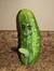 Pickle ...