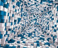 رونق الحياه