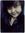 Wulan W...