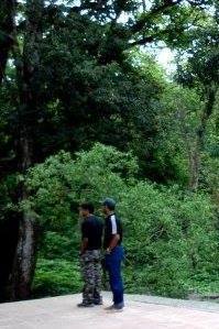 Srinath Sridharan