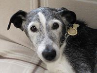 Walter Satterthwaite