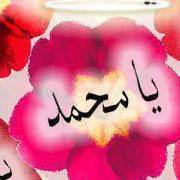 حكيم المصرى