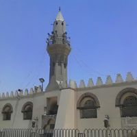 ولو كره الكافرون