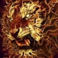 مصطفى المسيبلي