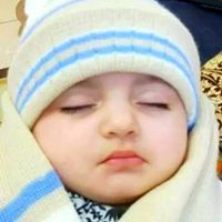 Mirza Arslan