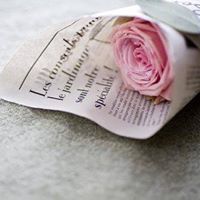 أمنية البنا