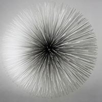 आदित्य गुप्ता